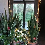 La Maison D' Elizabeth *