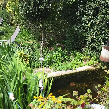 La Maison D' Elizabeth * Lagrasse