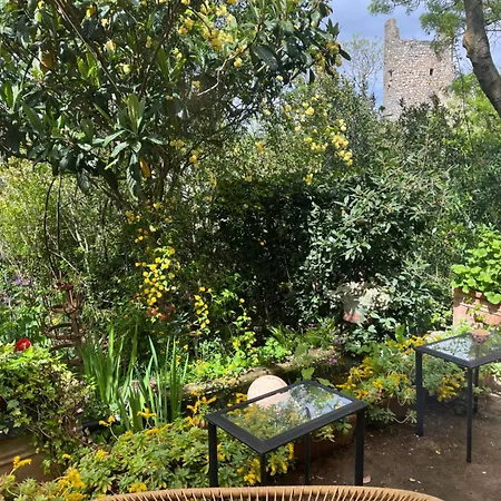 La Maison D' Elizabeth Vakantiehuis Lagrasse